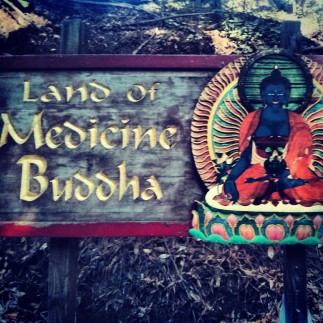 Credits: Instagram on my Google Nexus phone and the beautiful Land of Medicine Buddha